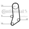 CONTITECH CT594 Timing Belt